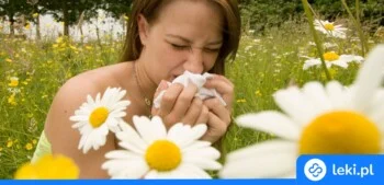 Ilustracja poradnika Alergiczny nieżyt nosa — objawy i jak sobie z nim radzić?