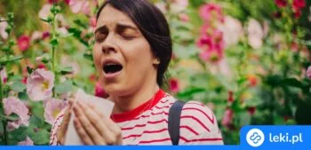 Ilustracja poradnika Leki na alergię — podział i przegląd leków przeciwhistaminowych