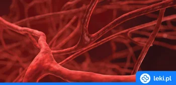 Ilustracja poradnika Diosmina na żylaki – Diohespan, Diosminex czy Phlebodia?