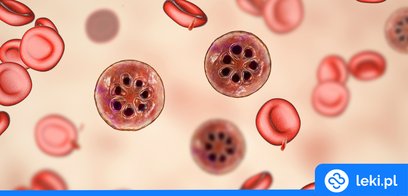 Malaria inaczej zimnica – jak wygląda i jak się przed nią zabezpieczyć?