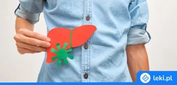 Ilustracja poradnika Szczepionka WZW A i B – Twinrix Adult, HAVRIX Adult, szczepienia w ciąży