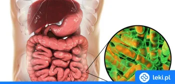 Ilustracja poradnika Co to jest mikrobiom? Poznaj jego rolę w zdrowiu i starzeniu się!