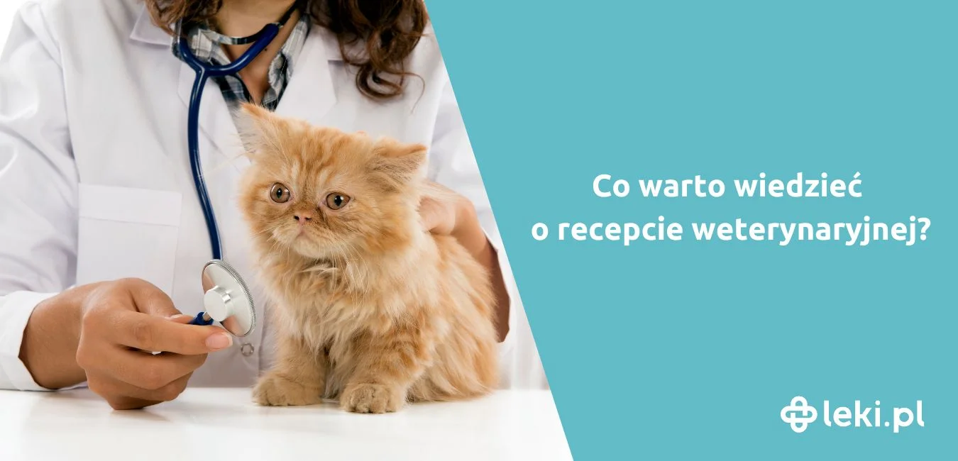 Recepta od weterynarza — co warto o niej wiedzieć?
