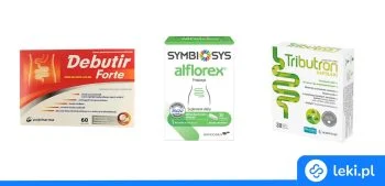 Ilustracja poradnika Skuteczne leki na jelito wrażliwe – co wybrać? Ibesan czy Iberogast?