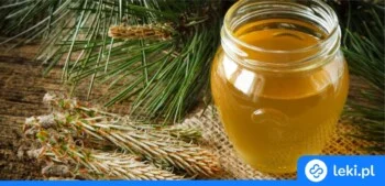 Ilustracja poradnika Jak zrobić syrop z pędów sosny według porad farmaceuty?