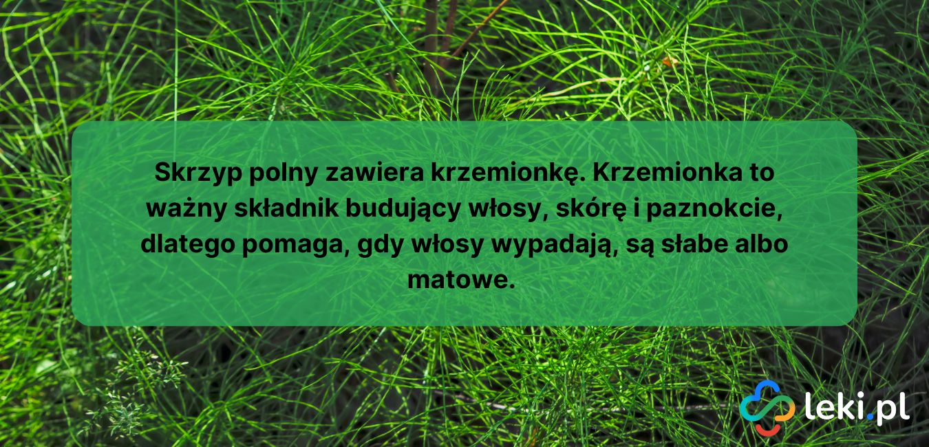 Skrzyp polny na włosy.