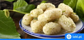 Ilustracja poradnika Morwa biała tabletki czy herbata? Właściwości, działanie, opinie