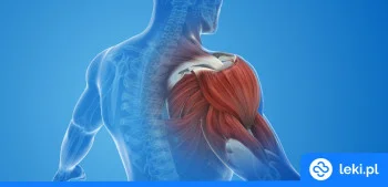 Ilustracja poradnika Poznaj leki rozluźniające mięśnie – bez recepty i na receptę