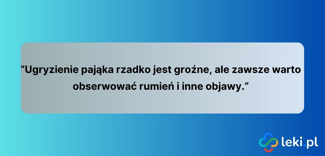 Ukąszenie pająka może być niegroźne, ale dla alergików bywa poważne. (fot. Canva).