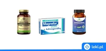 Ilustracja poradnika Na co pomaga ashwagandha? Sprawdź, jak działa!