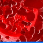 Jak podnieść poziom hemoglobiny i poprawić zdrowie?