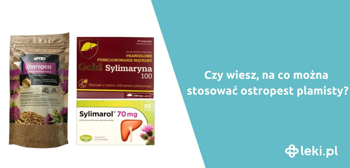 Na co jest ostropest plamisty? Właściwości, dawkowanie i skutki uboczne