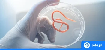 Ilustracja poradnika Domowy test na pasożyty – jakie badania i testy kupisz w aptece?