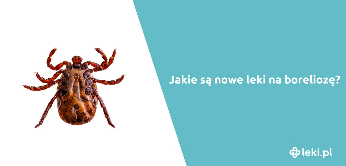 Nowy i skuteczny lek na boreliozę – jakie antybiotyki są najlepsze?