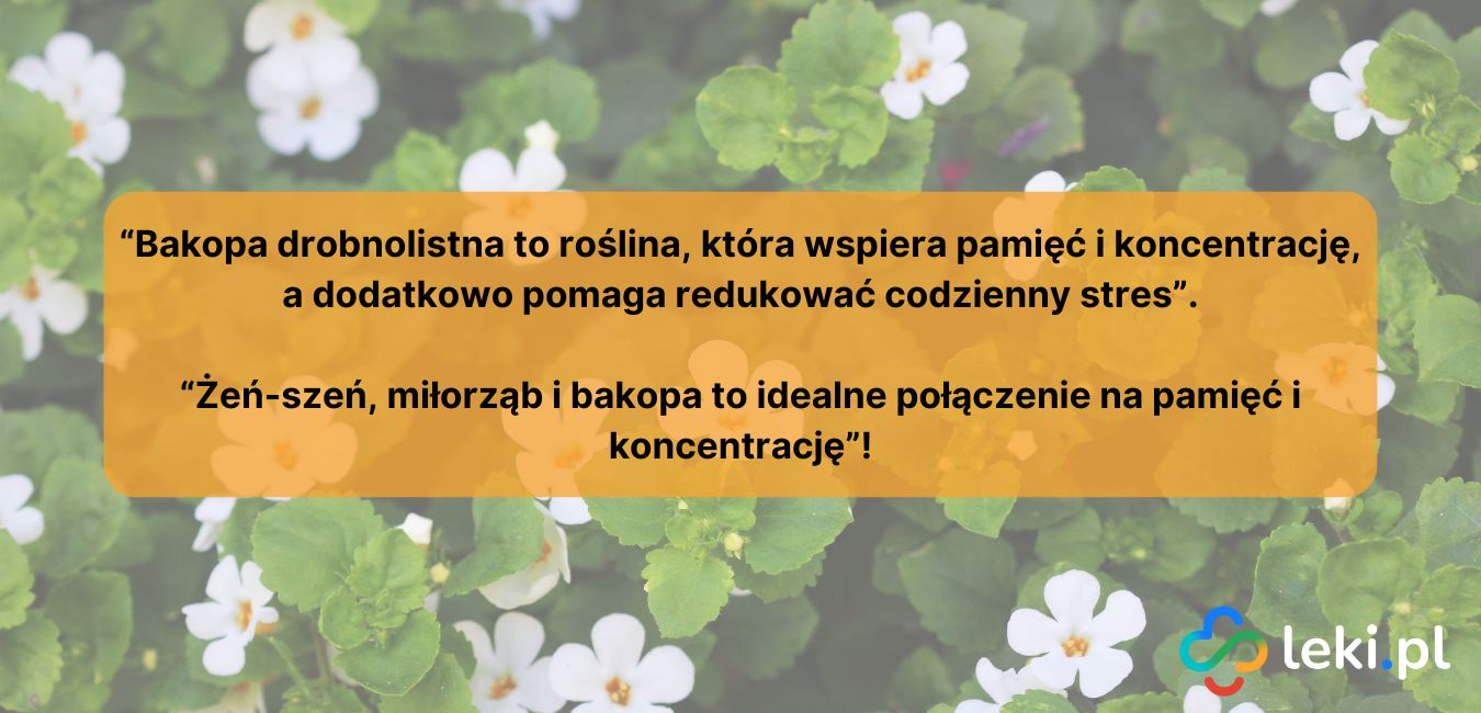 Bakopa drobnolistna na zaburzenia pamięci i koncentracji (fot. Canva).