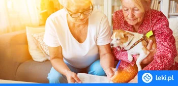 Ilustracja poradnika Co poza lekami i suplementami poprawia pamięć seniorów?