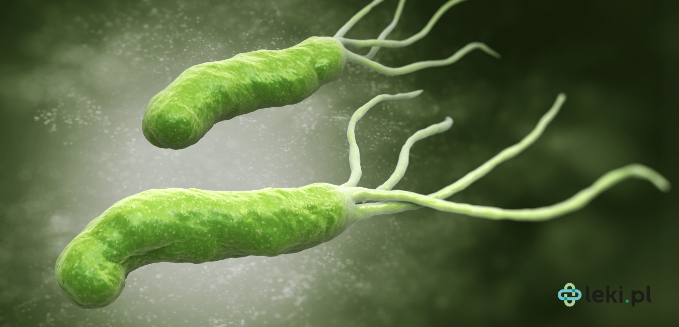 Helicobacter pylori: objawy, testy, leczenie i skuteczne antybiotyki