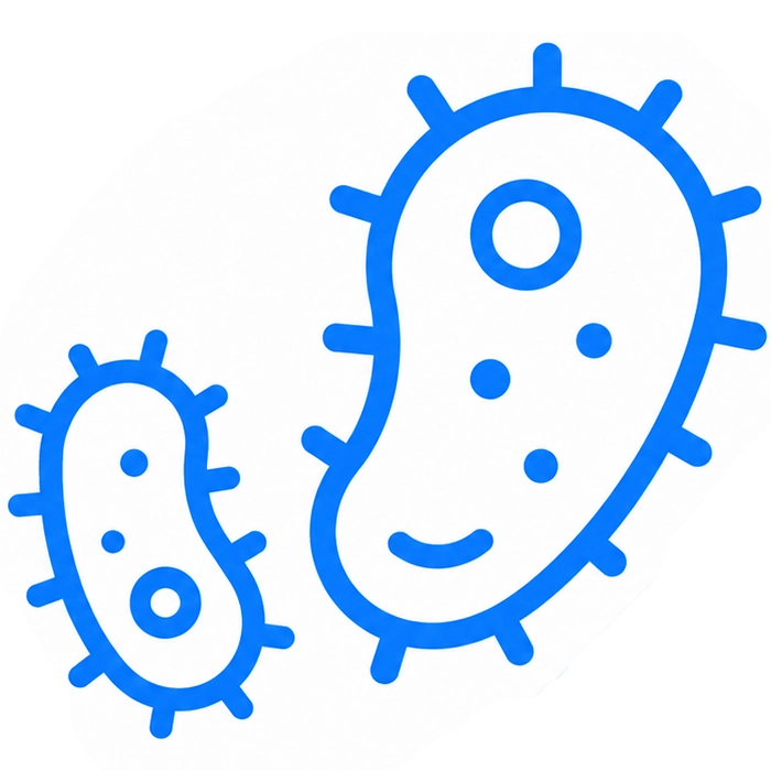 Antybiotyki
