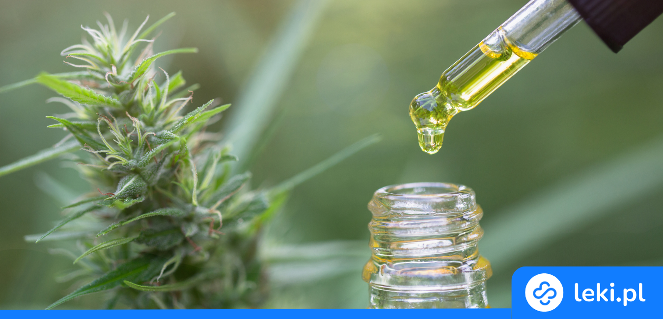 Olejek CBD na sen – działanie, przeciwwskazania, krople CBD i efekty