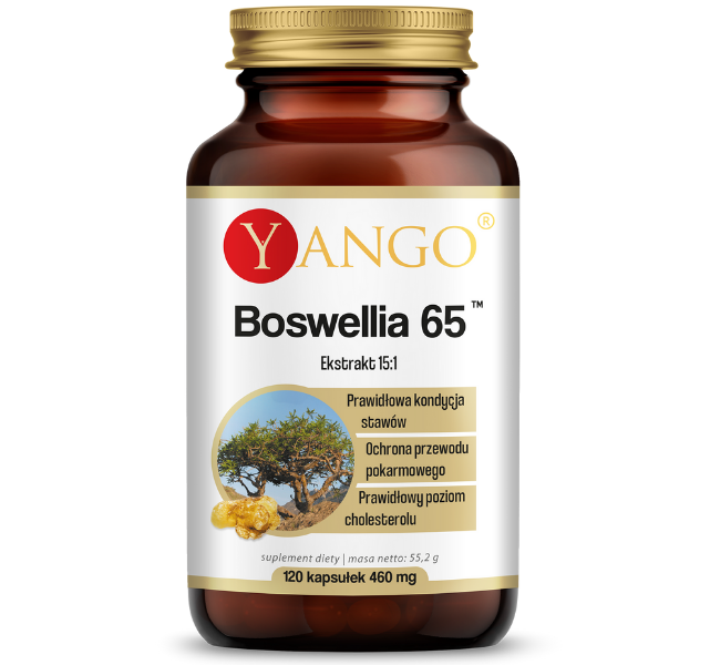 Zdjęcie przedstawia suplement diety Yango Boswellia 65, kapsułki.