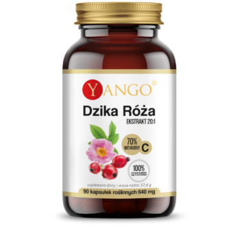 Zdjęcie przedstawia suplement diety Yango Dzika róża, kapsułki.