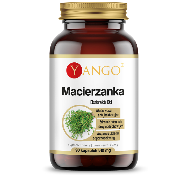 Zdjęcie przedstawia suplement diety Yango Macierzanka, kapsułki.