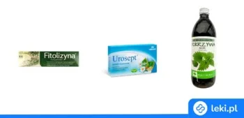 Ilustracja poradnika Najsilniejsze zioła moczopędne na obrzęki i wsparcie nerek