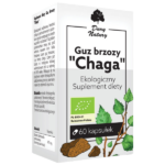 Dary Natury Guz brzozy chaga, kapsułki, 470 mg