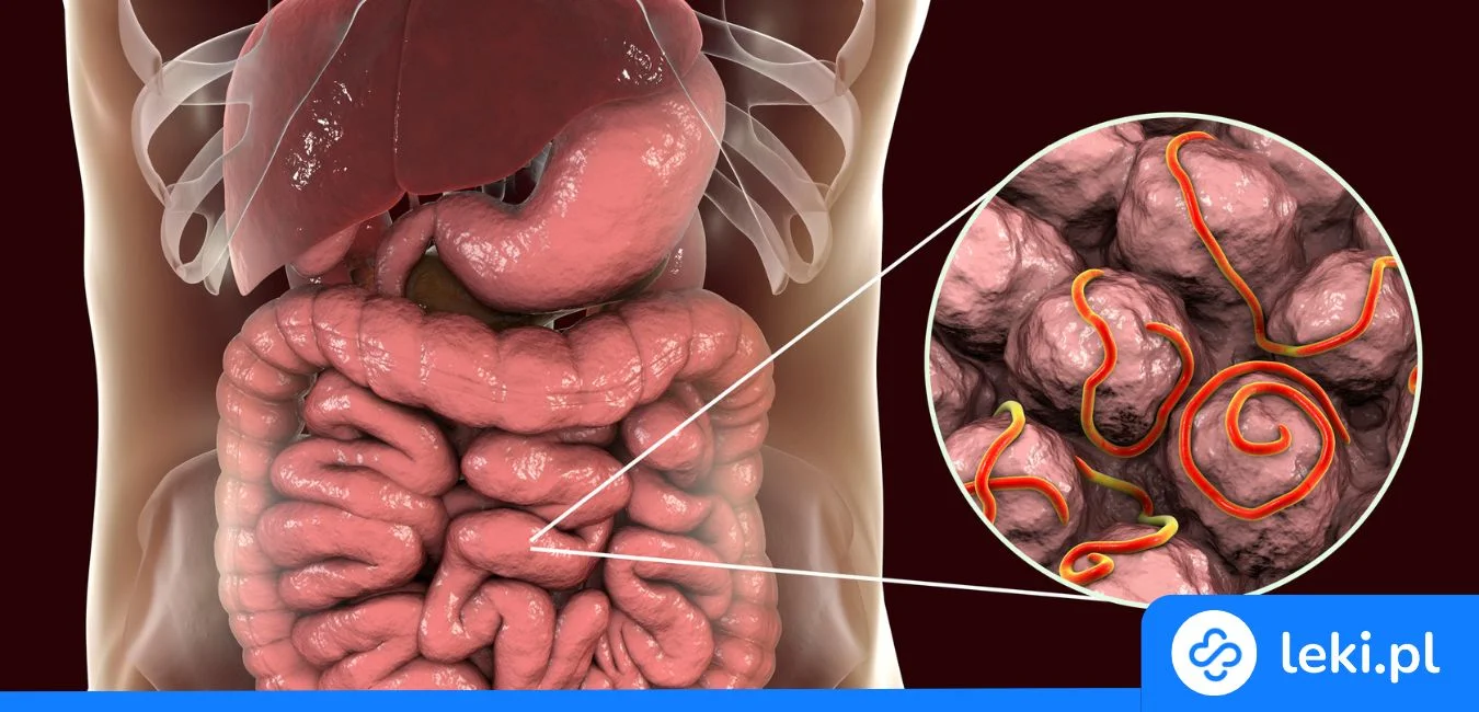 Herbata na robaki – skuteczność, skład i stosowanie na pasożyty