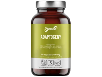 Zdjęcie produktu Yango Panaseus Adaptogeny, kapsułki