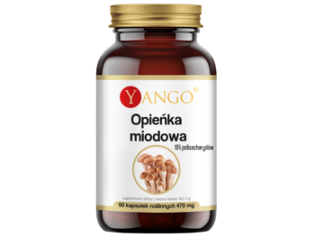 Zdjęcie przedstawia suplement diety Yango Opieńka miodowa, kapsułki.