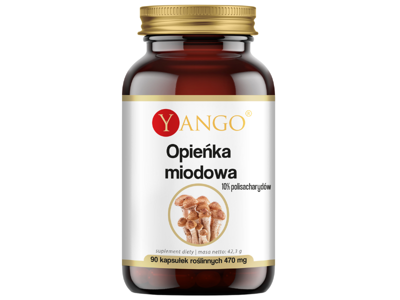 Zdjęcie przedstawia suplement diety Yango Opieńka miodowa, kapsułki.