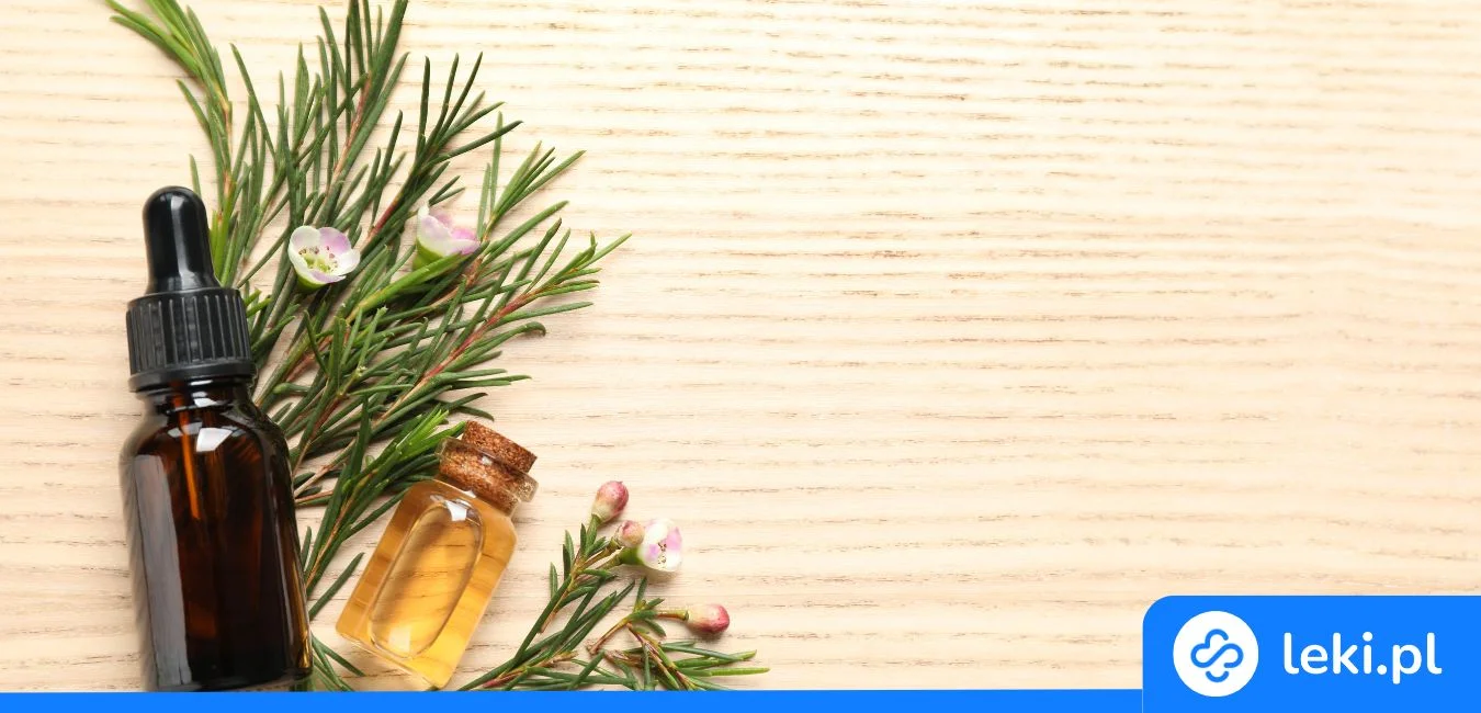 Olejek herbaciany – jak stosować, właściwości i zastosowanie w lecznictwie