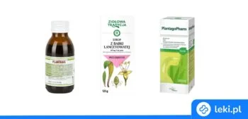 Ilustracja poradnika Syrop z babki lancetowatej: właściwości, zastosowanie i działanie na kaszel