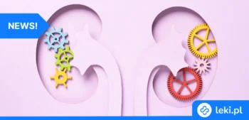 Ilustracja poradnika Jasnokomórkowy rak nerki – co warto wiedzieć o diagnostyce i leczeniu?