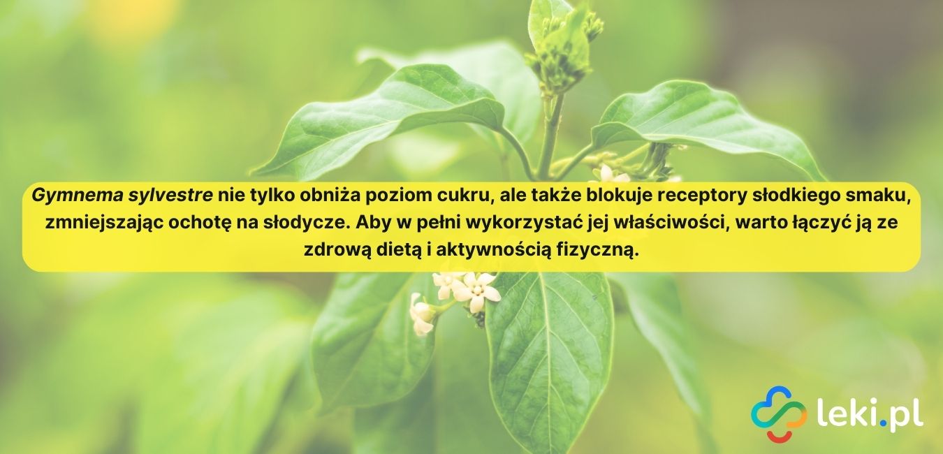 jakie zioła na obniżenie cukru