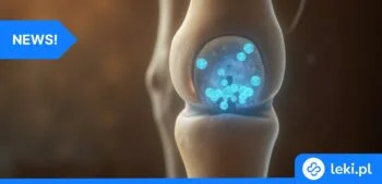 Ilustracja poradnika Nanocząsteczki chitosanu – czy to nowa nadzieja w walce z osteoartrozą?