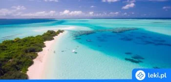 Ilustracja poradnika Choroby tropikalne – sprawdź objawy i przygotuj się do podróży!