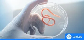 Ilustracja poradnika Profilaktyczne odrobaczanie – czy naprawdę warto? Sprawdź teraz!