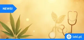 Ilustracja poradnika Olejki THC i CBD w ciąży szkodzą dziecku – nowe badania