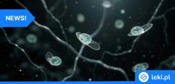 Ilustracja poradnika Mikroalgi przełomem w leczeniu choroby Alzheimera