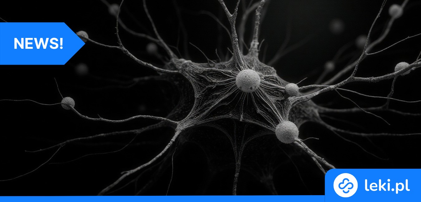 Mikroglej w Alzheimer: przełom w leczeniu dzięki białku DDX3X