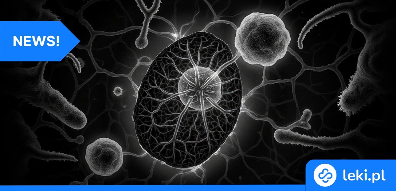 Jelita a mózg: przełomowe odkrycia w neurologii