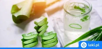 Ilustracja poradnika Aloes do picia – właściwości, zastosowanie i jak zrobić własny napój aloesowy