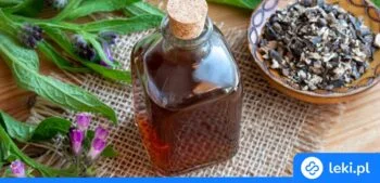 Ilustracja poradnika Olej żywokostowy z gojnikiem – właściwości i zastosowanie