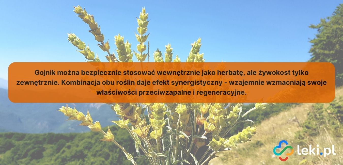 olej żywokostowy z gojnikiem jak stosować