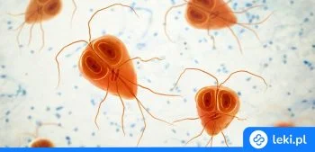 Ilustracja poradnika Jak rozpoznać lambliozę i skutecznie ją leczyć? Sprawdź teraz!