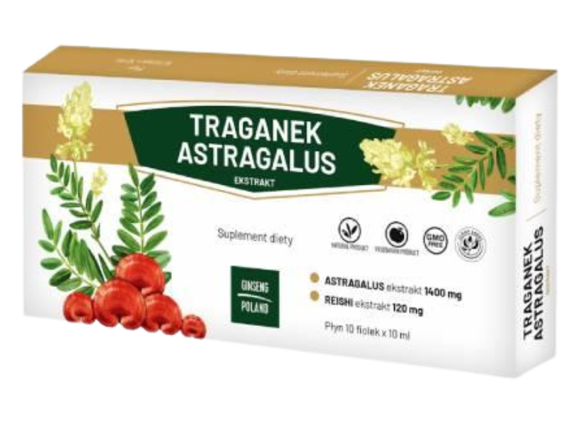 Zdjęcie przedstawia suplement diety GINSENG Traganek Astragalus ekstrakt, ampułki.