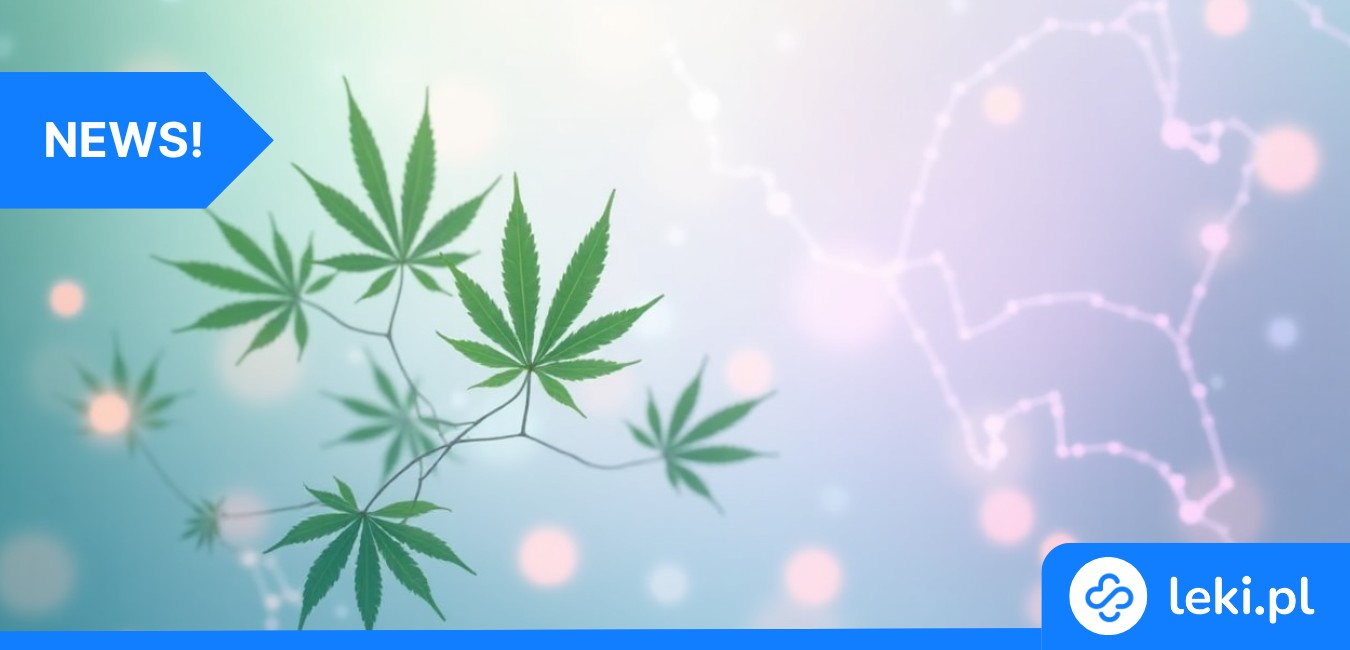 Marihuana w leczeniu padaczki lekoopornej? To musisz wiedzieć!