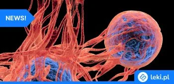 Ilustracja poradnika Szczepionka przeciw rakowi skuteczna w 88% – przełom w medycynie?